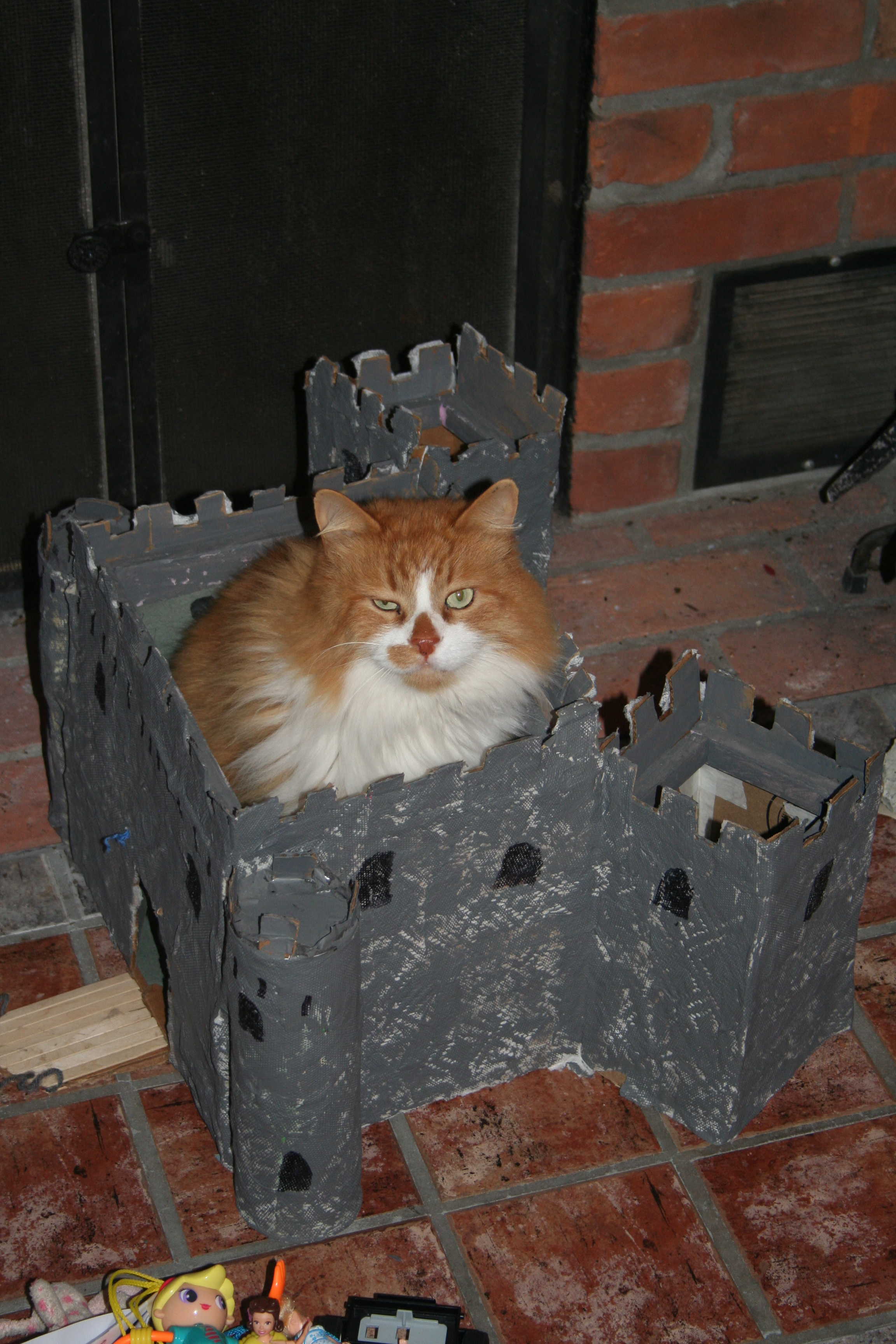 Frank is King of the Castel