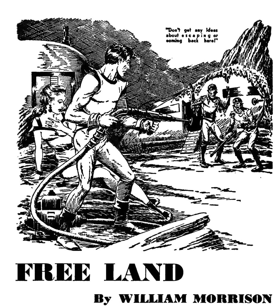 Free Land