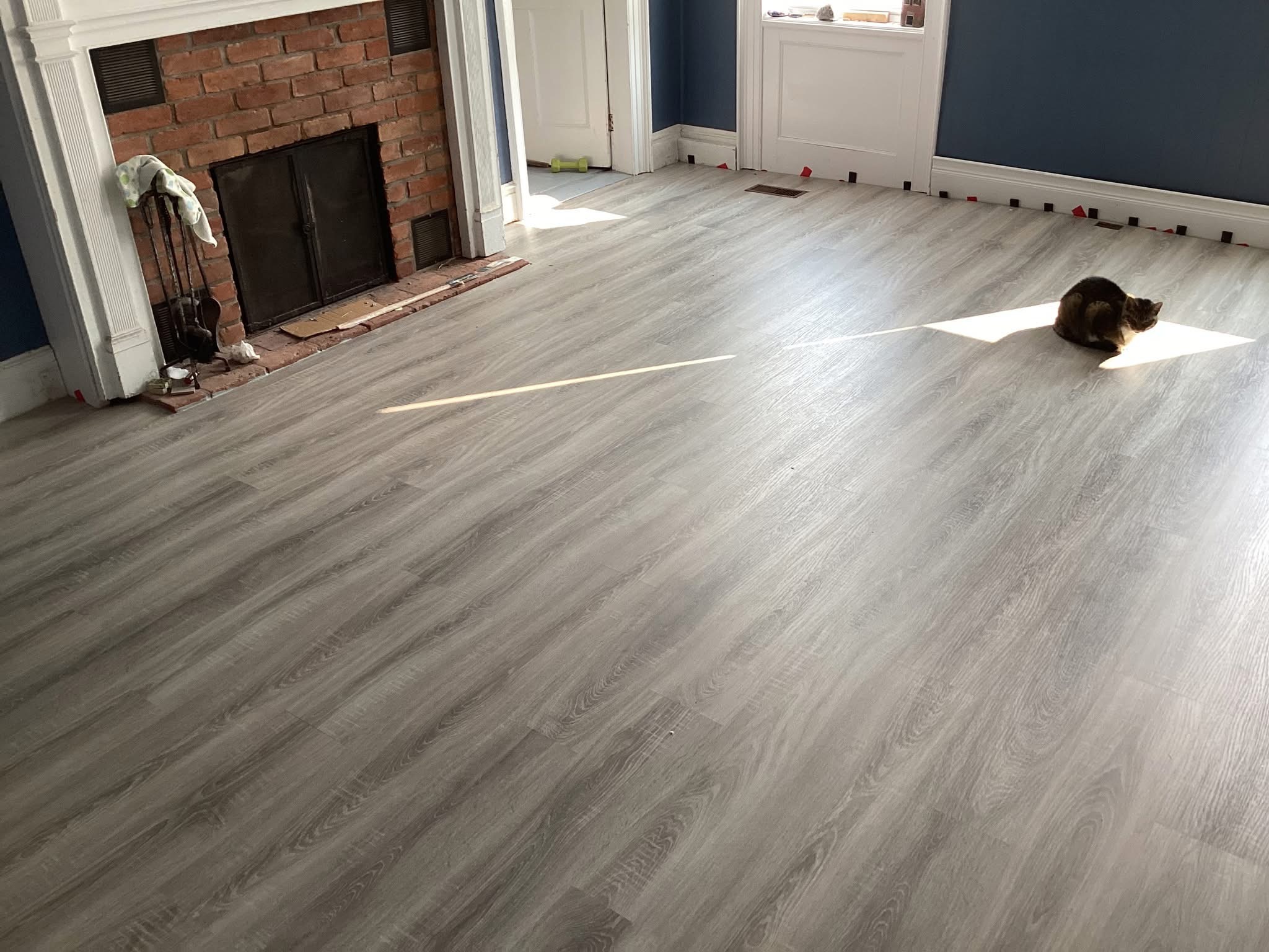 Zoey in the sunshine