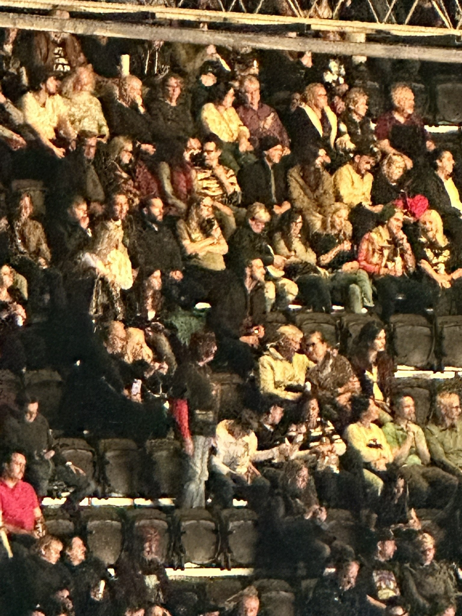 Where's Robin and Noah